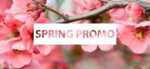 Spring Promo