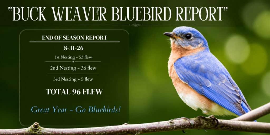 Buck Weaver Bluebird Report 09 09 26