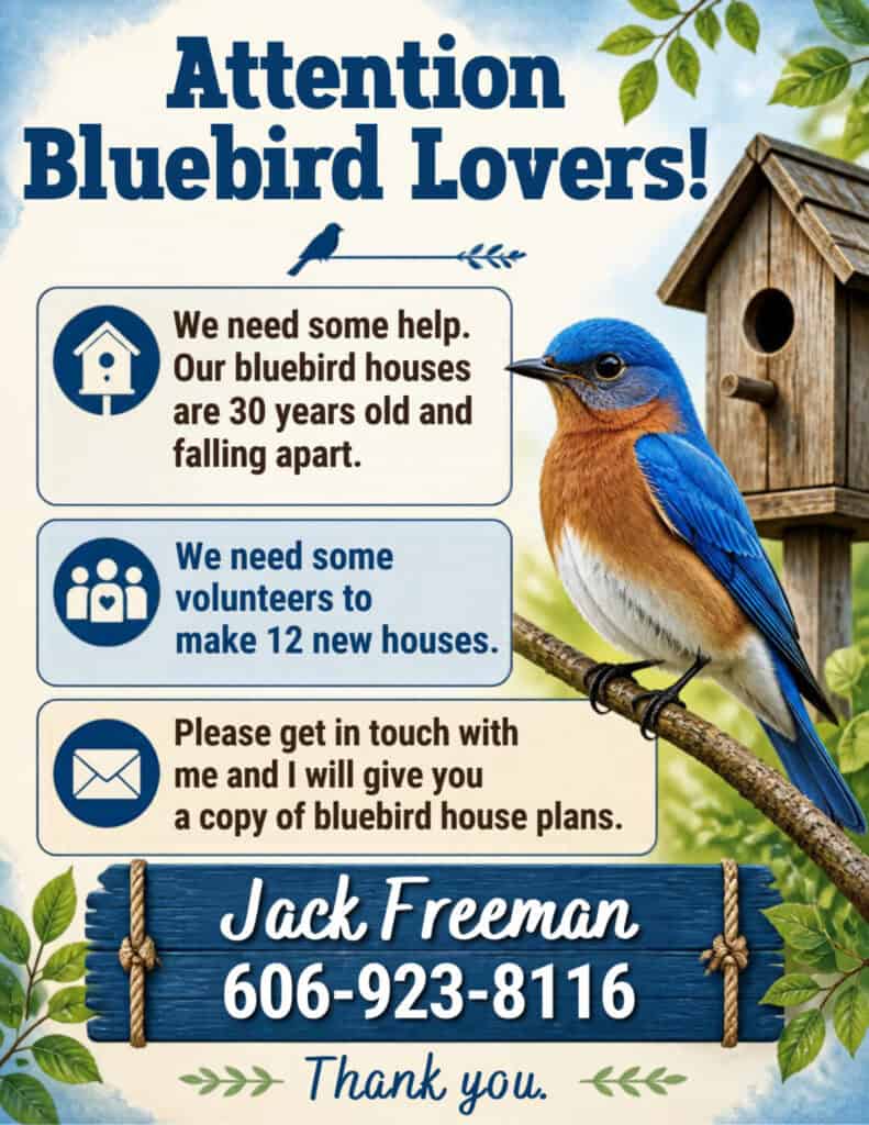 Attention Bluebird Lovers
