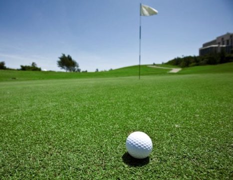 Ball On Green