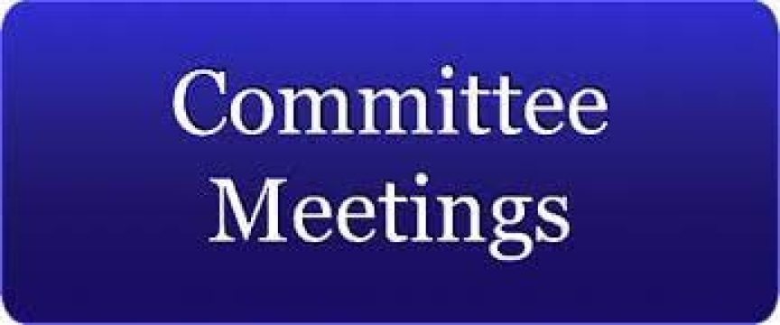 Committee Meetings